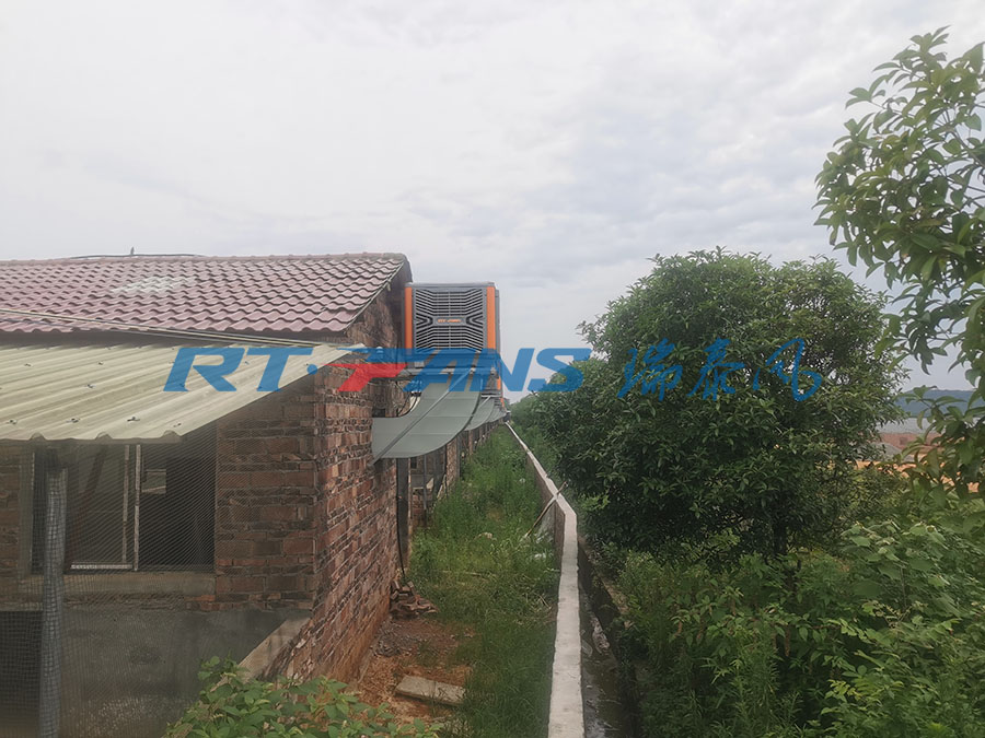 豬場降溫,濕簾冷風(fēng)機(jī),環(huán)?？照{(diào)